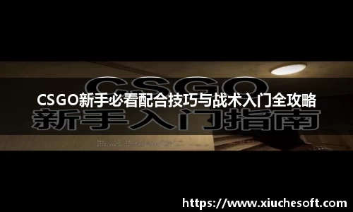 CSGO新手必看配合技巧与战术入门全攻略